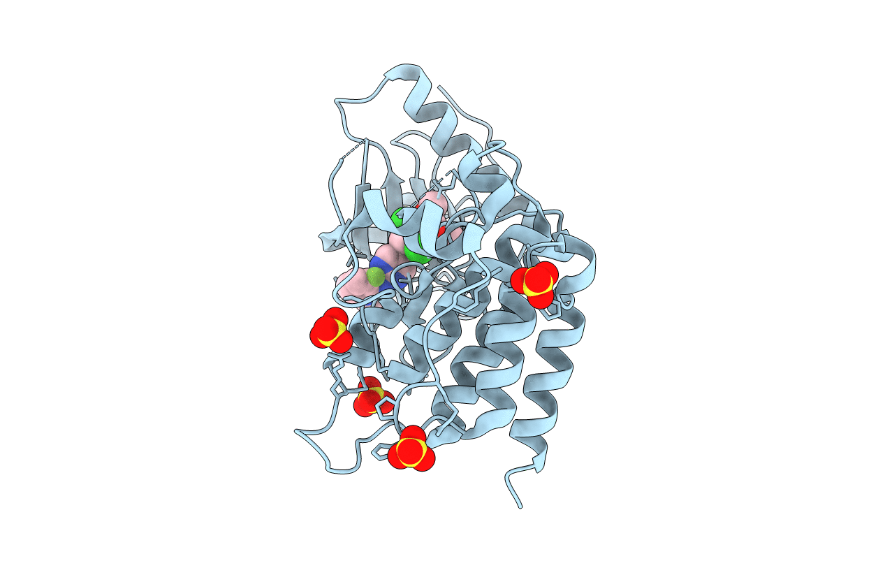 6NVJ image
