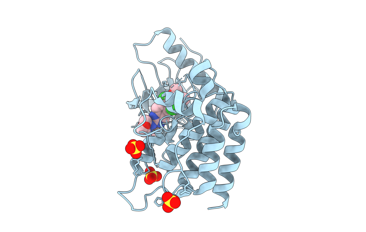 6NVK image