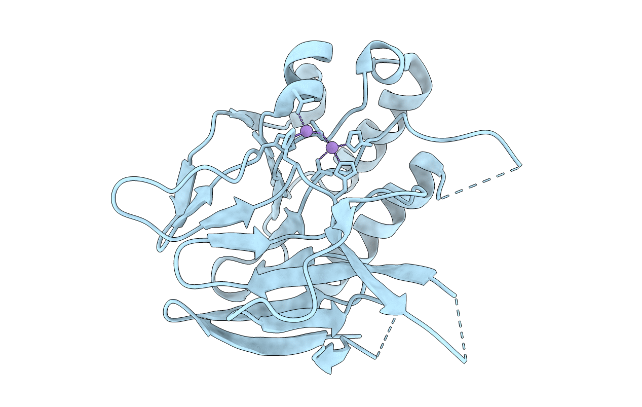 6NVO image