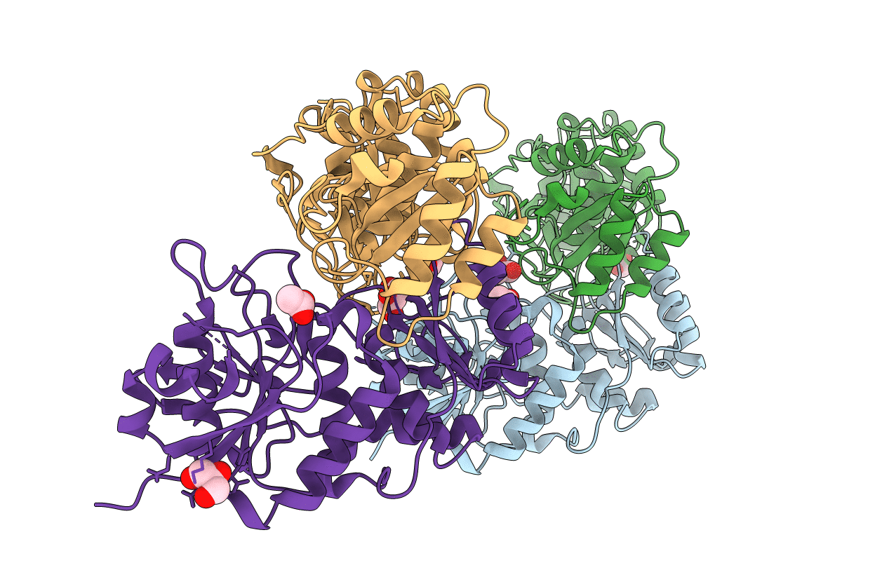 6nxa image