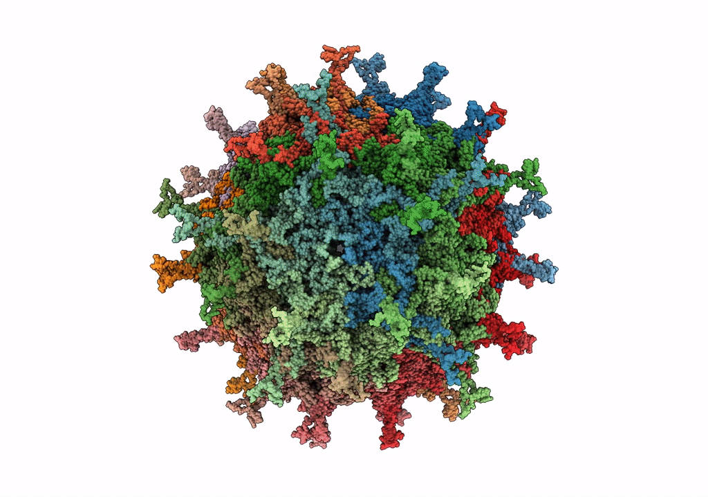 6NXE image