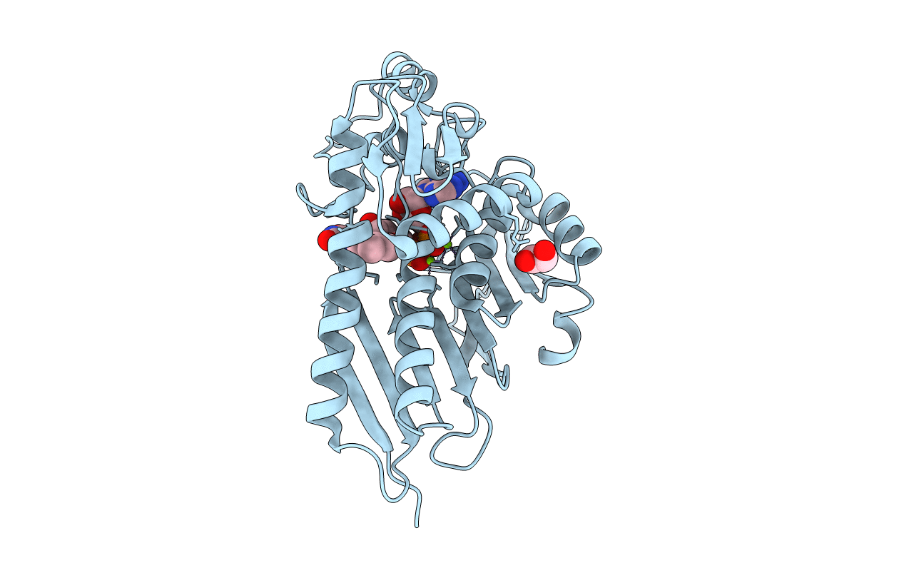 6NXI image