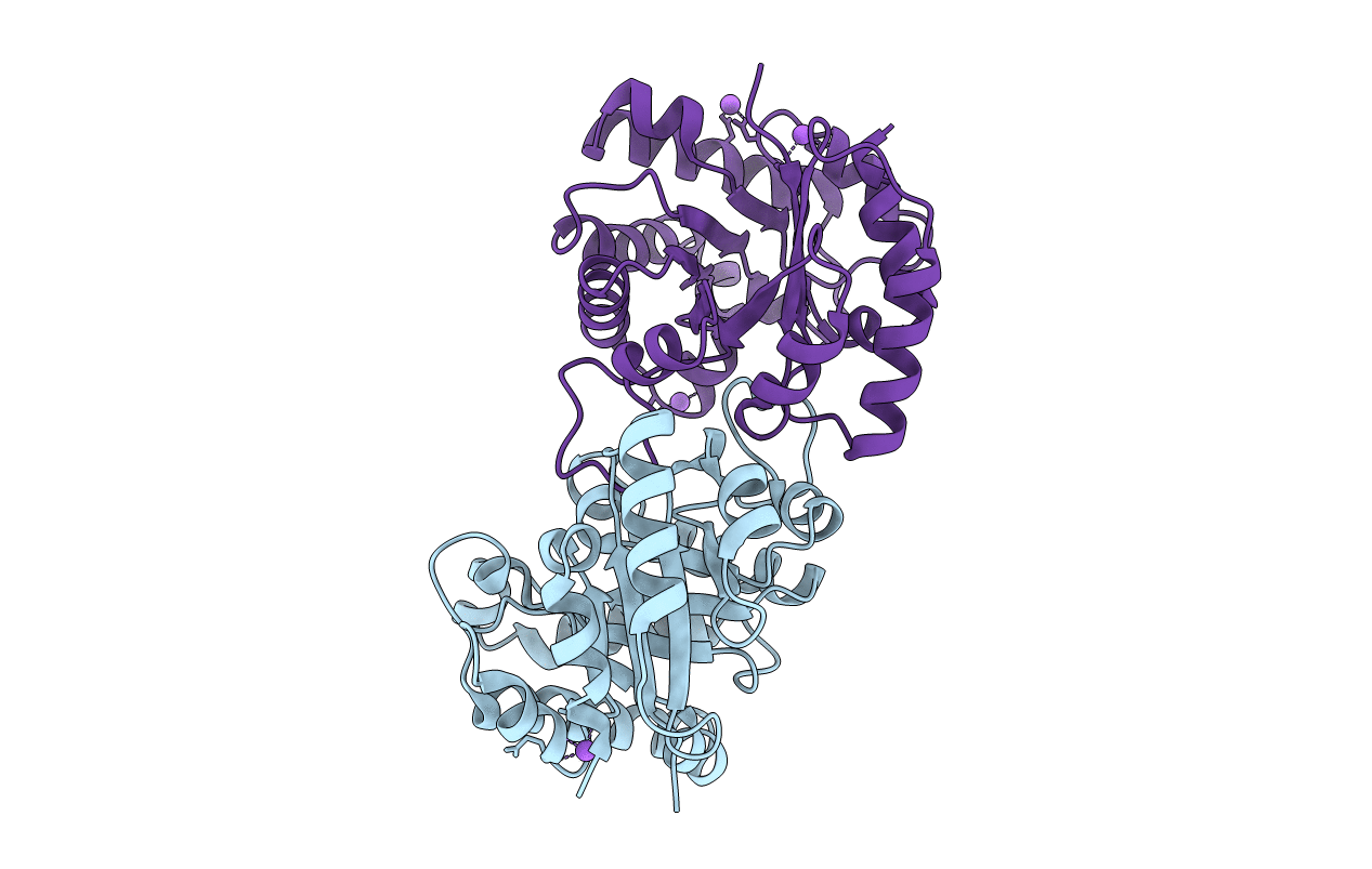 6NXS image