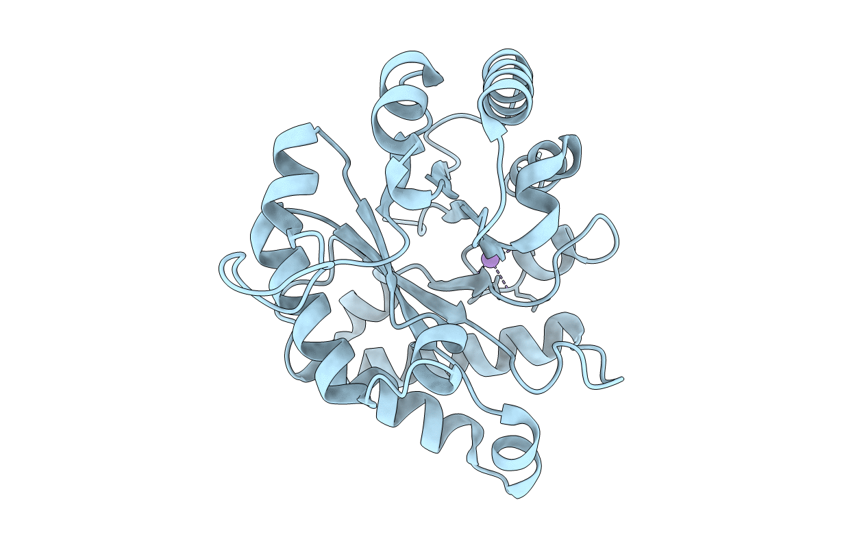 6NXY image