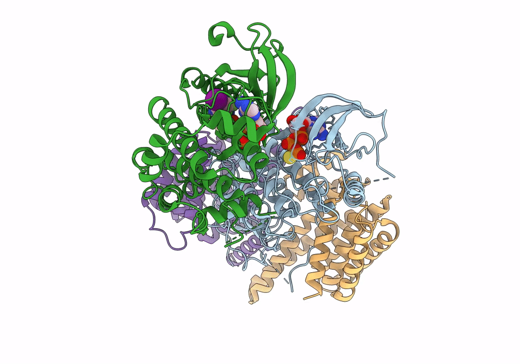 6NYB image