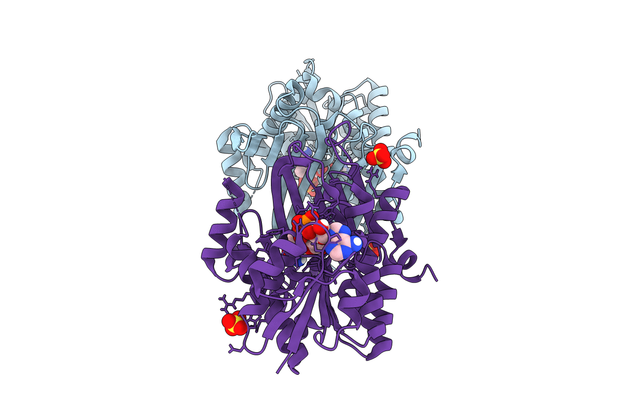 6O15 image
