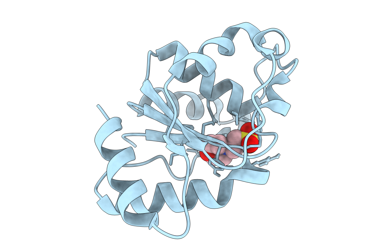 6O1B image
