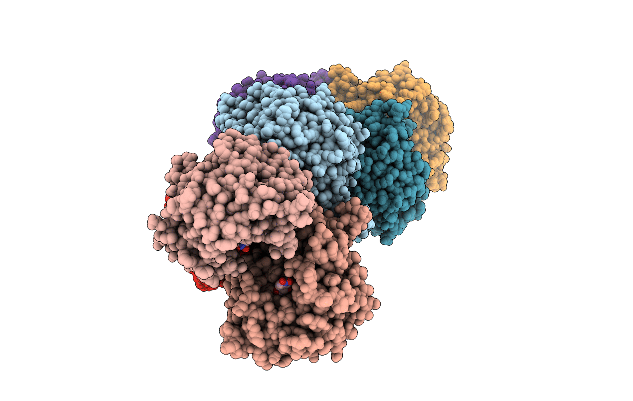6O1C image