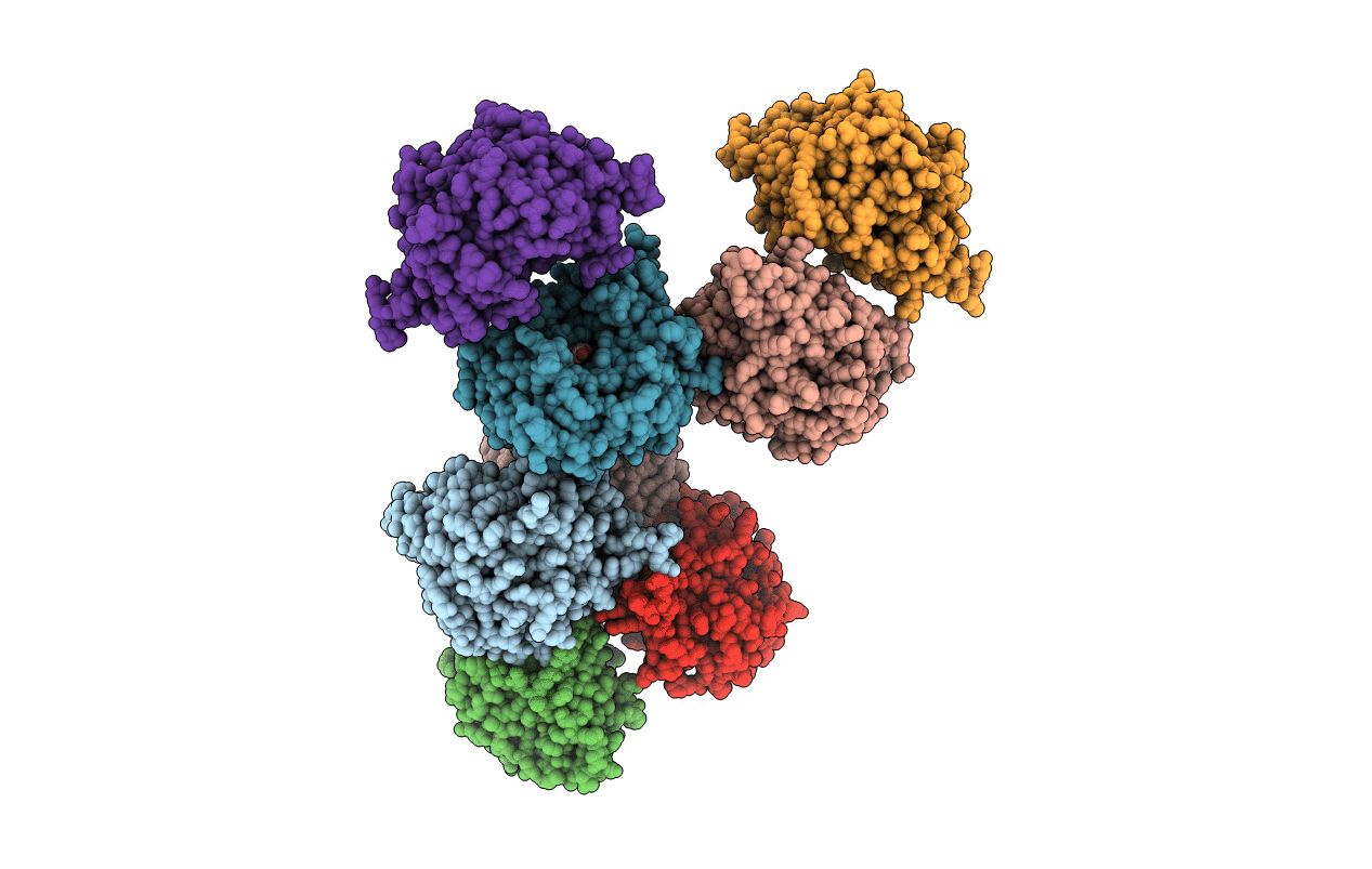 6O1J image