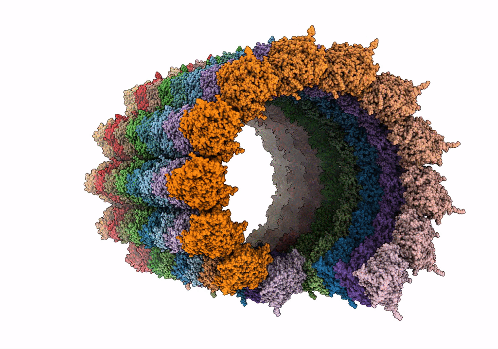 6O2T image