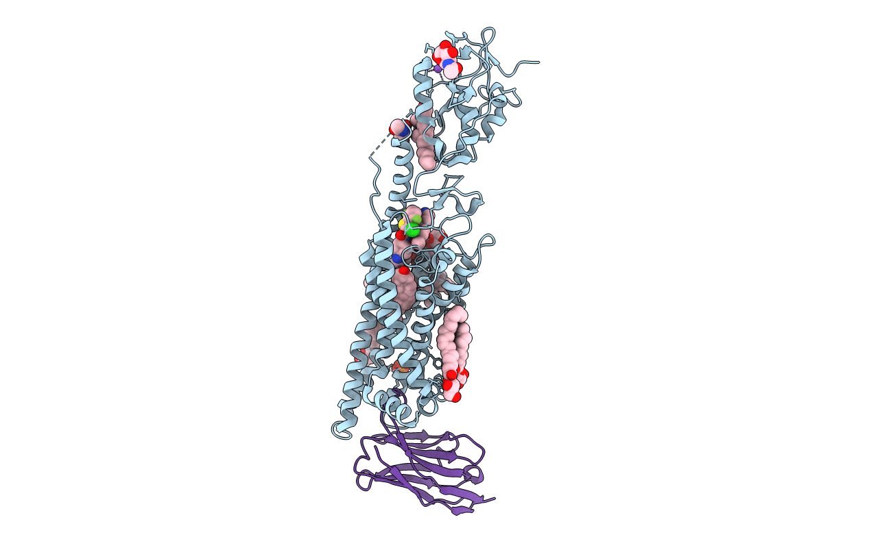6O3C image