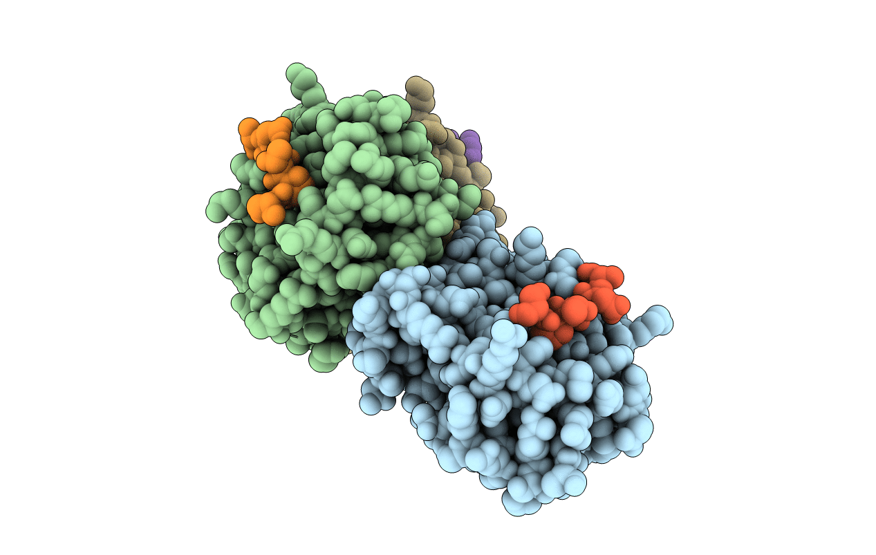 6O3X image