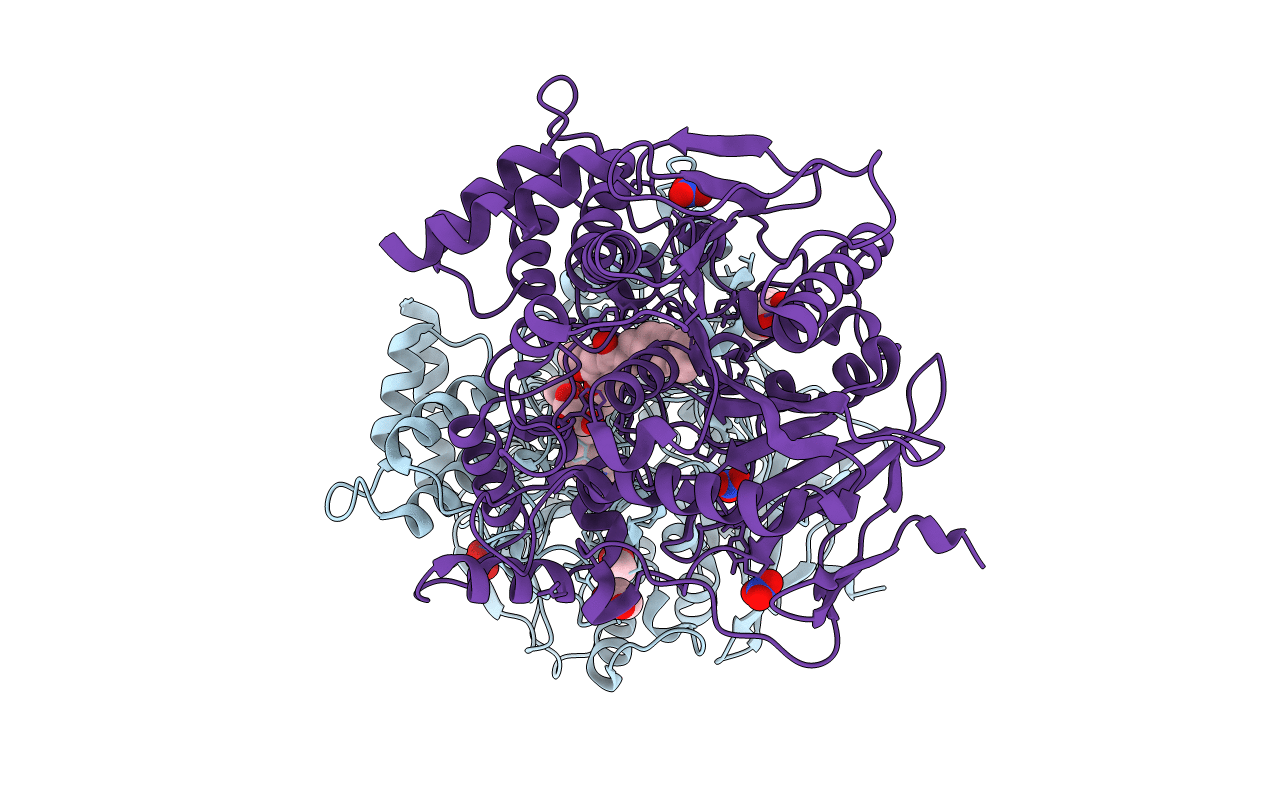 6O4W image