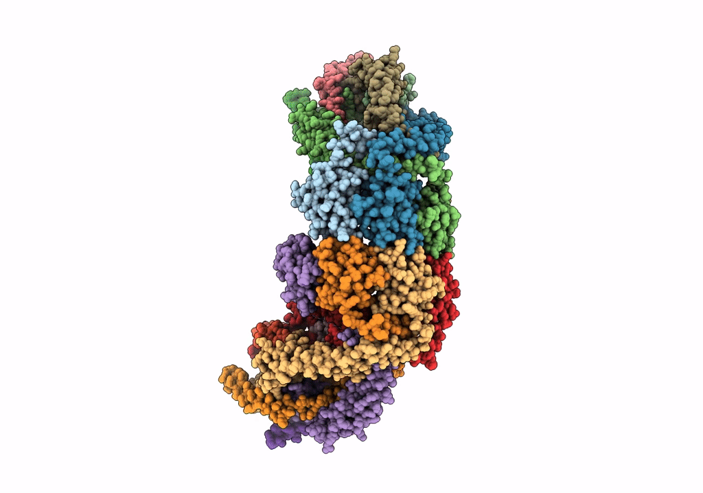6O58 image