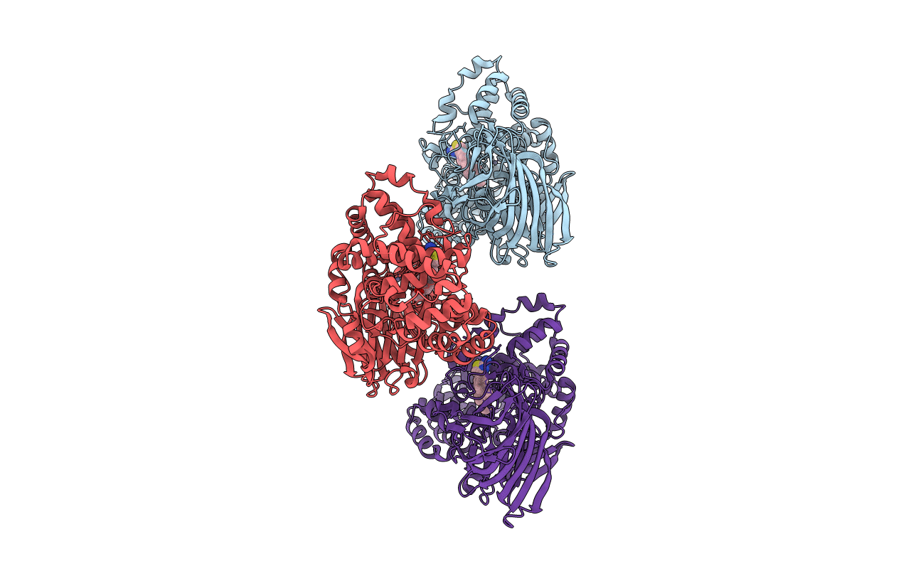 6O5H image