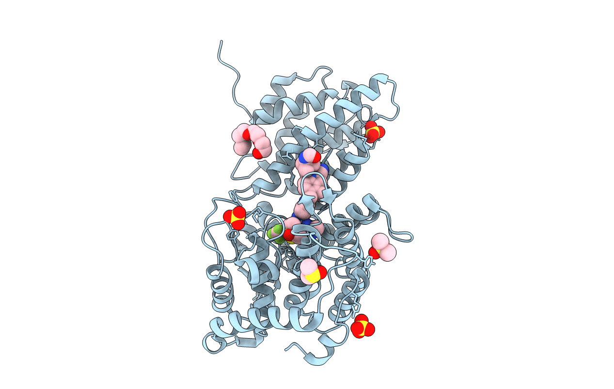 6O5I image
