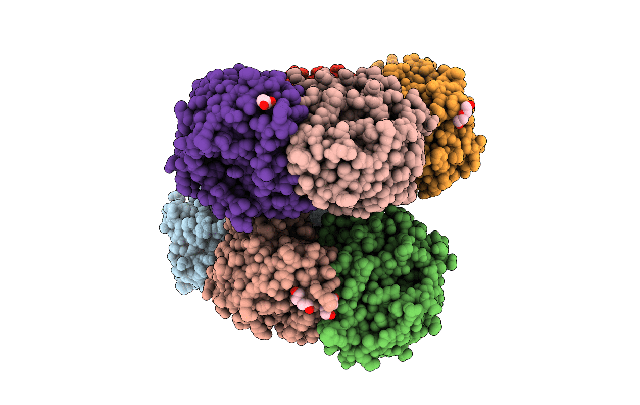 6O64 image