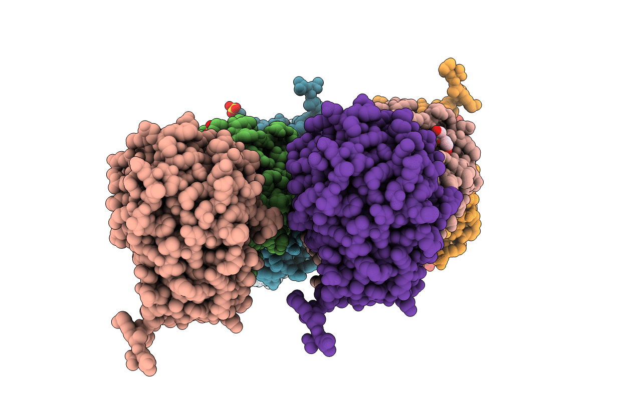6O65 image