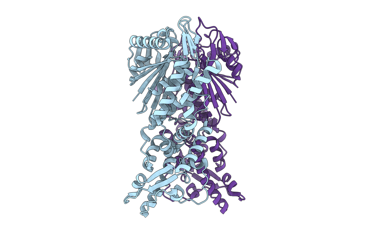 6O6T image