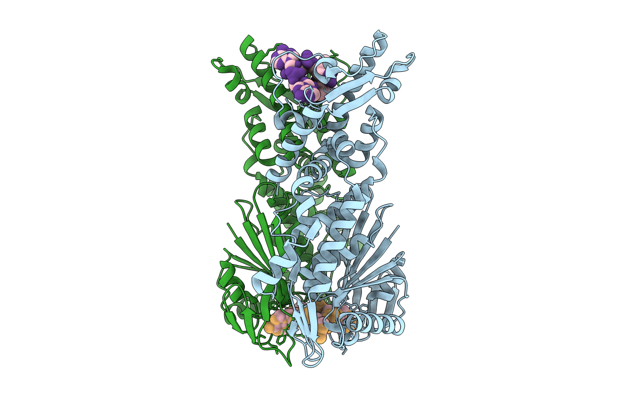 6O6V image