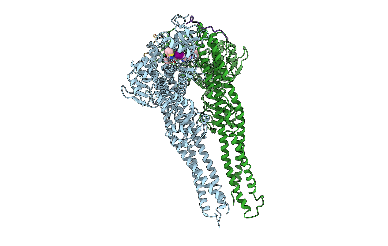 6O8B image