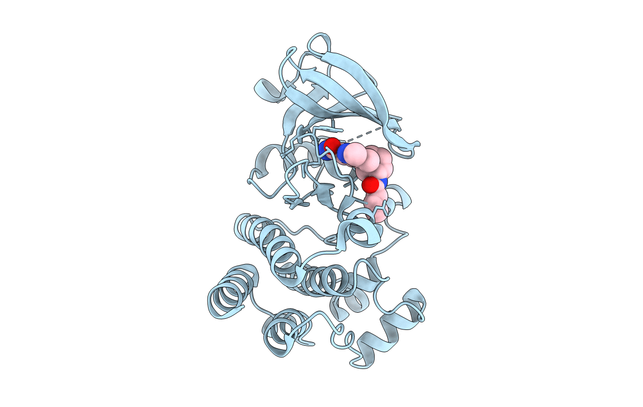 6O8I image