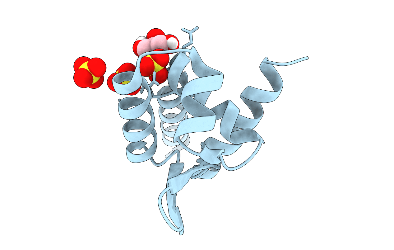 6O8K image