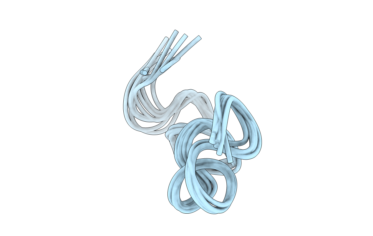 6O8P image