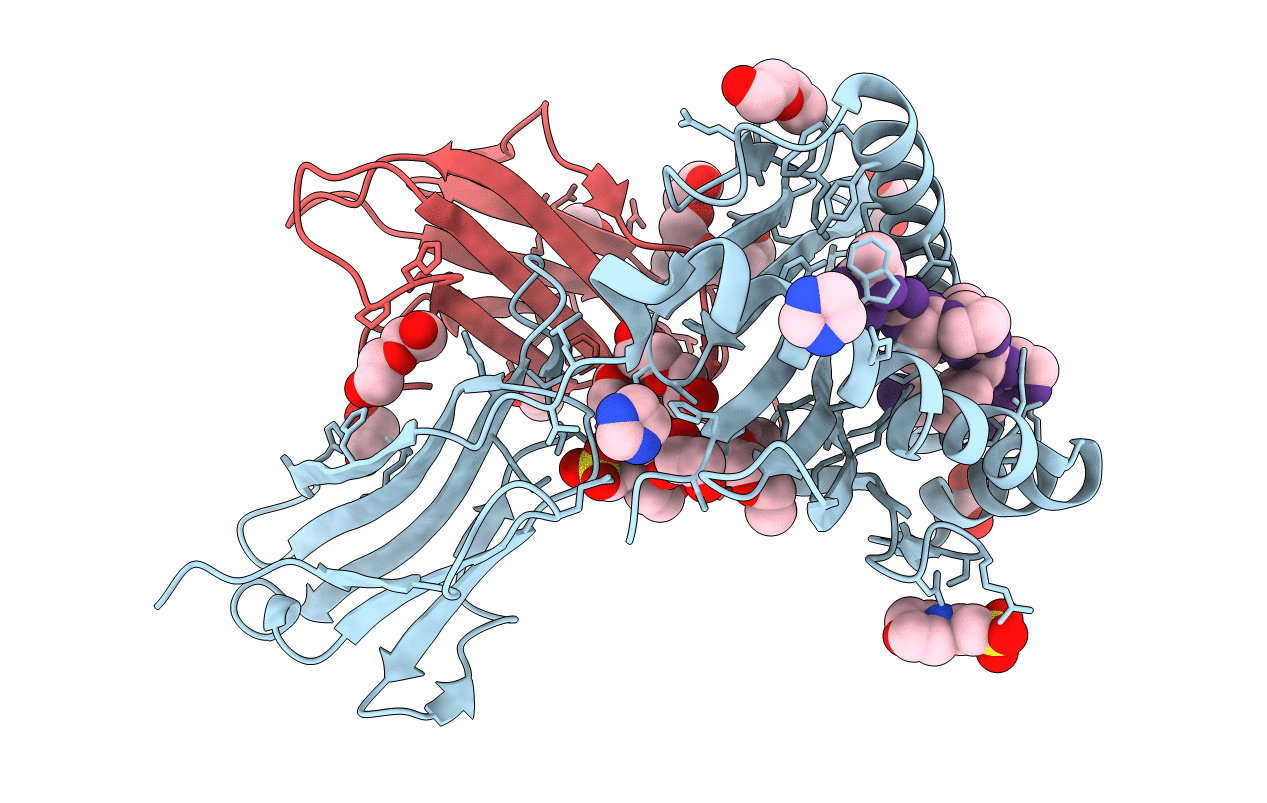 6O9B image