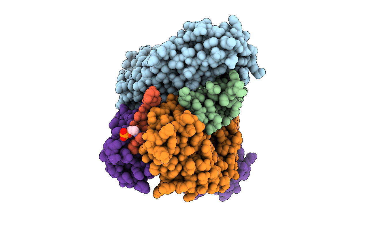 6OBD image