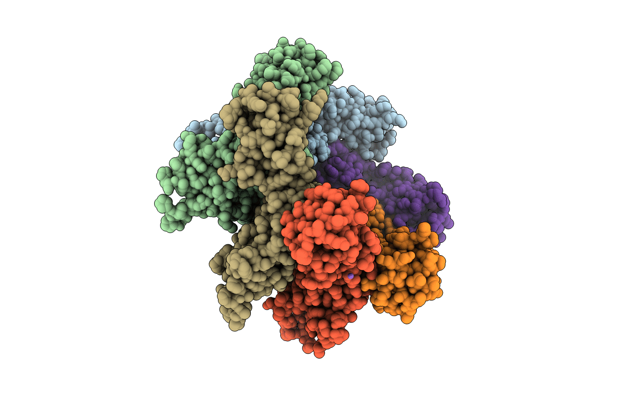 6OBH image