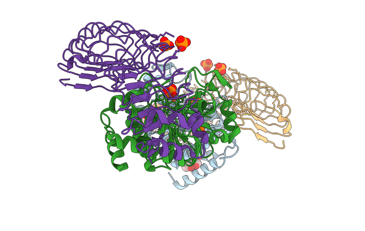 6OBN image