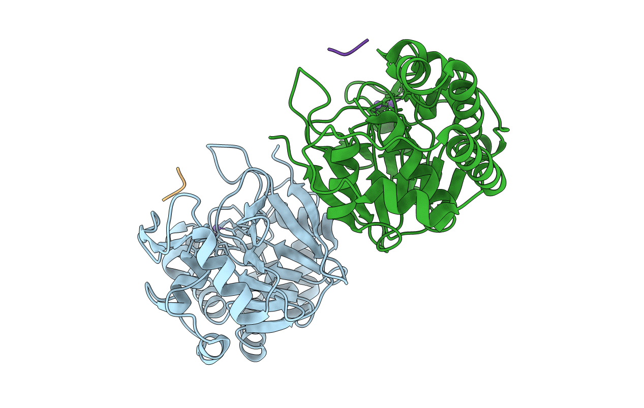 6OBR image