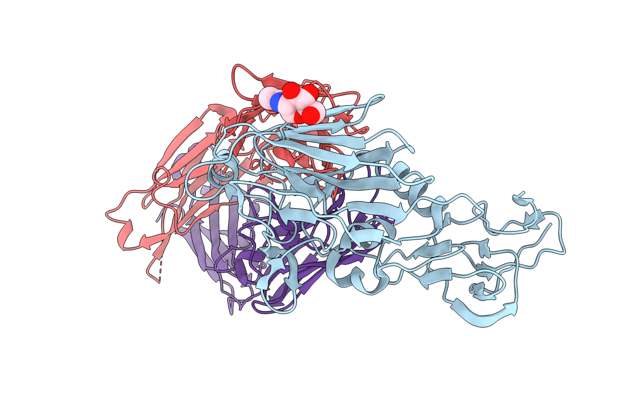 6OCB image
