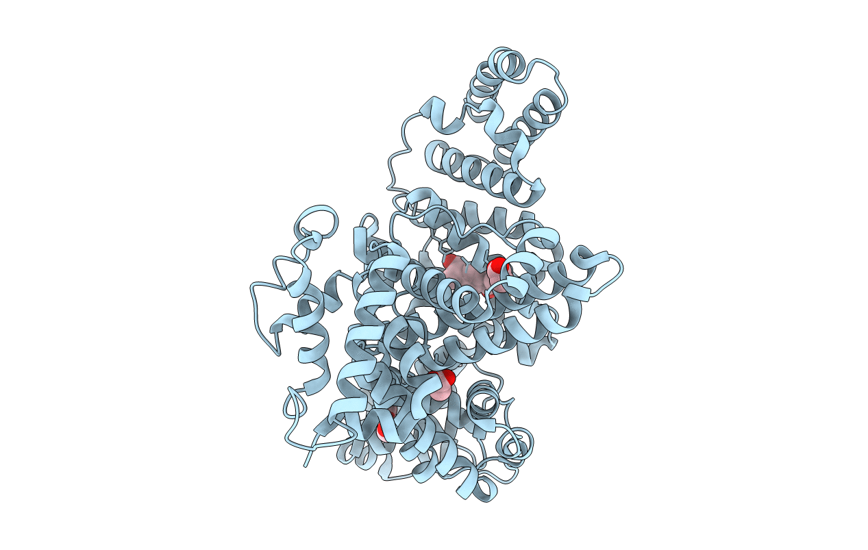 6OCL image