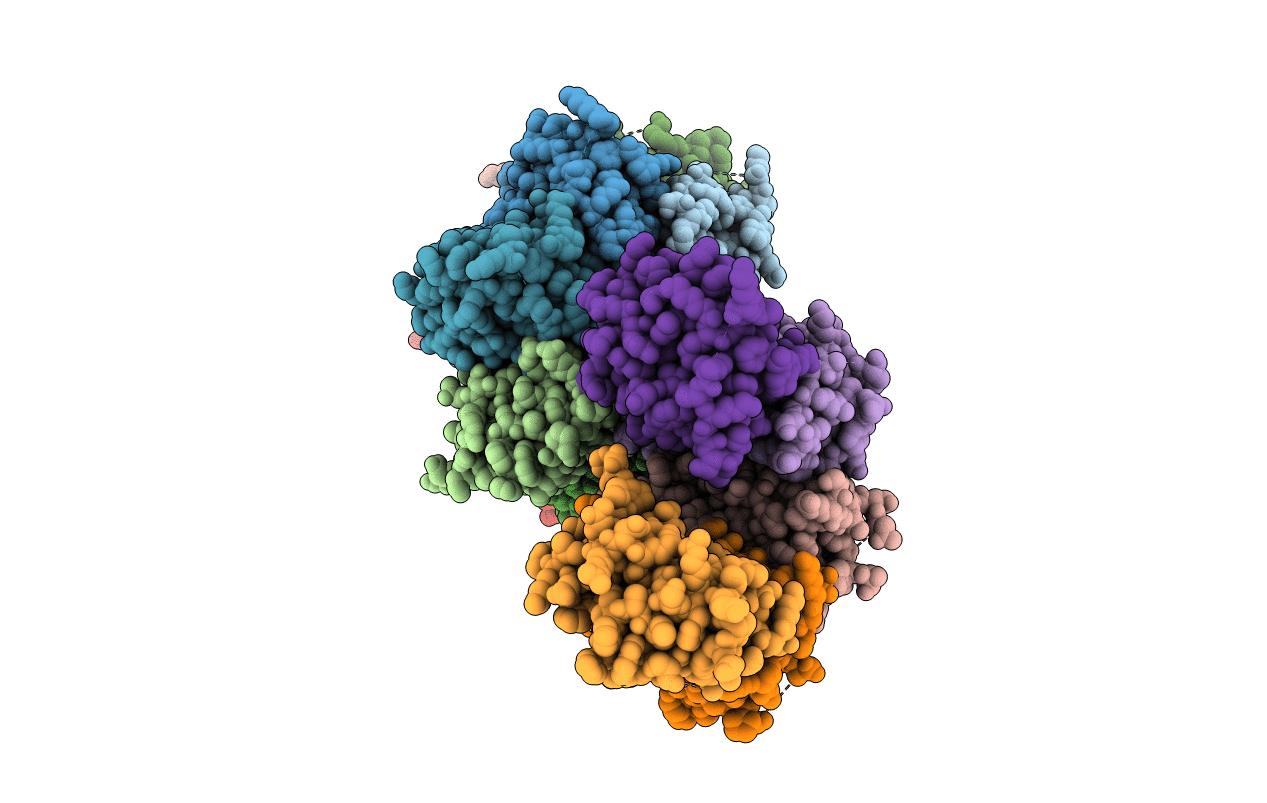 6OCR image