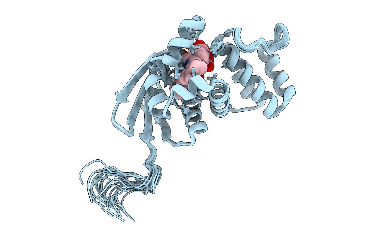 6OCV image