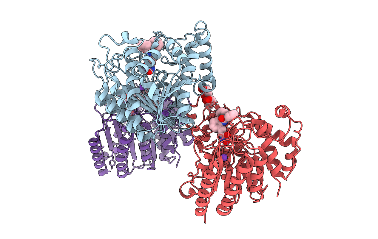 6ODB image
