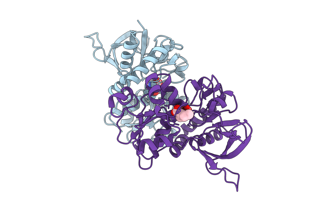 6ODL image