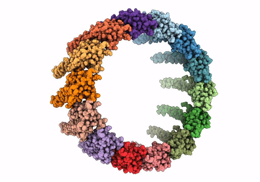 6OEG image