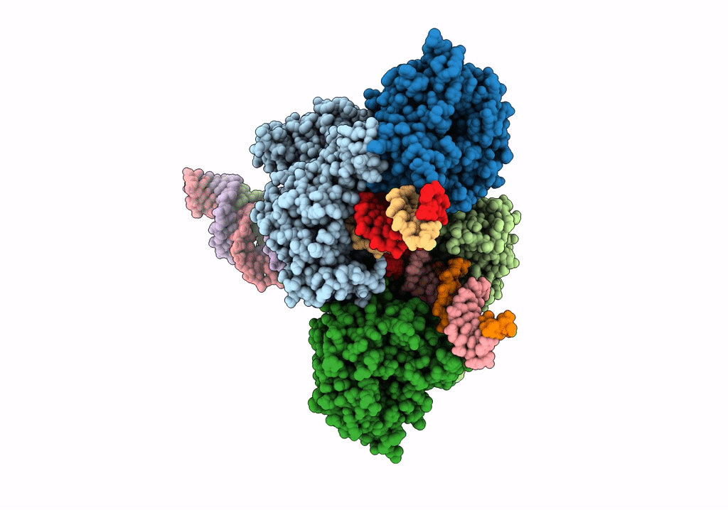 6OET image