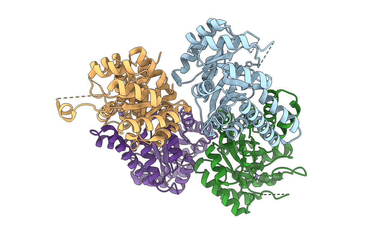 6OFU image