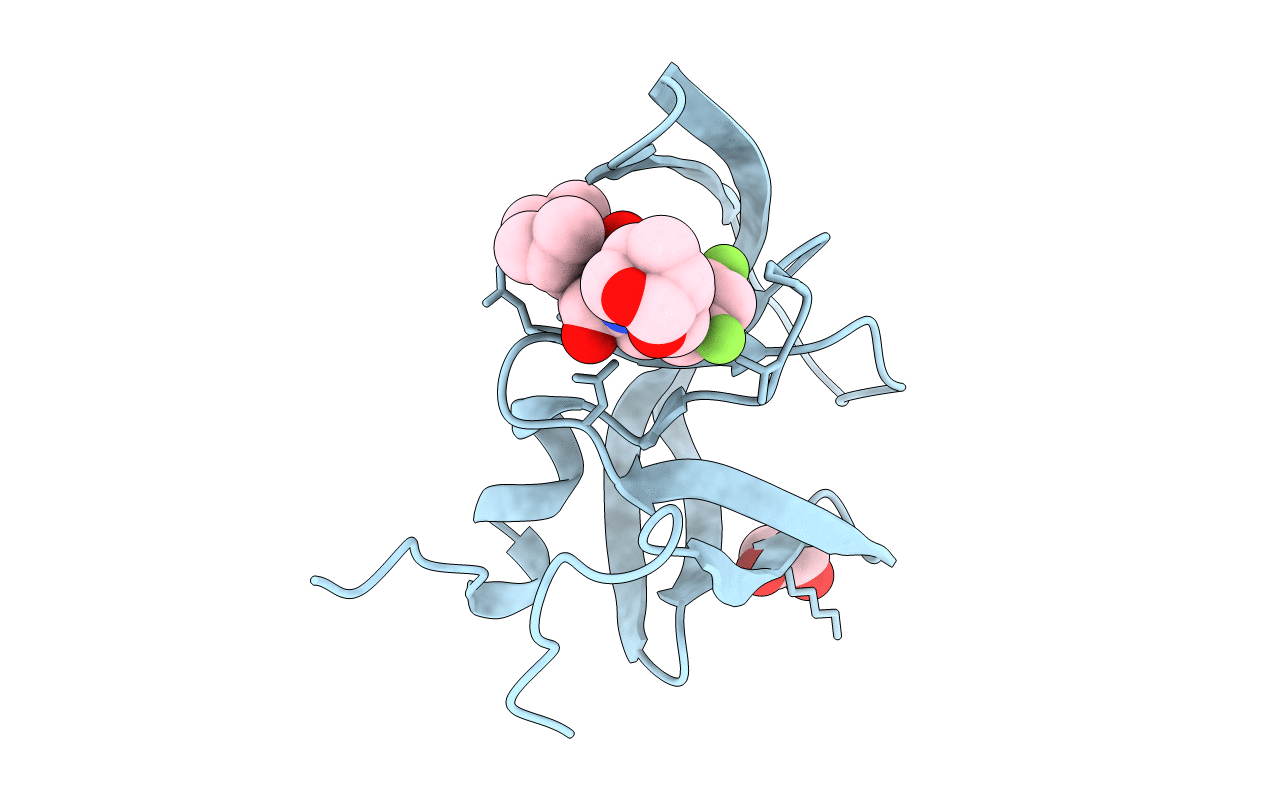 6OGP image