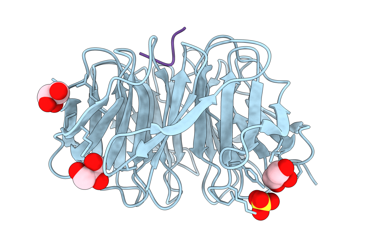 6OI3 image