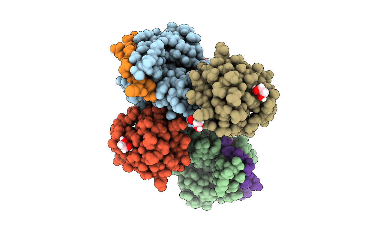 6OI4 image
