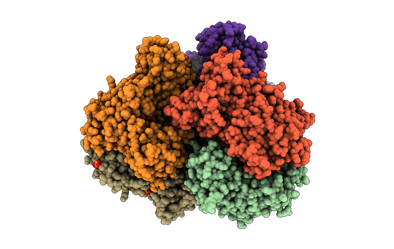 6OI7 image