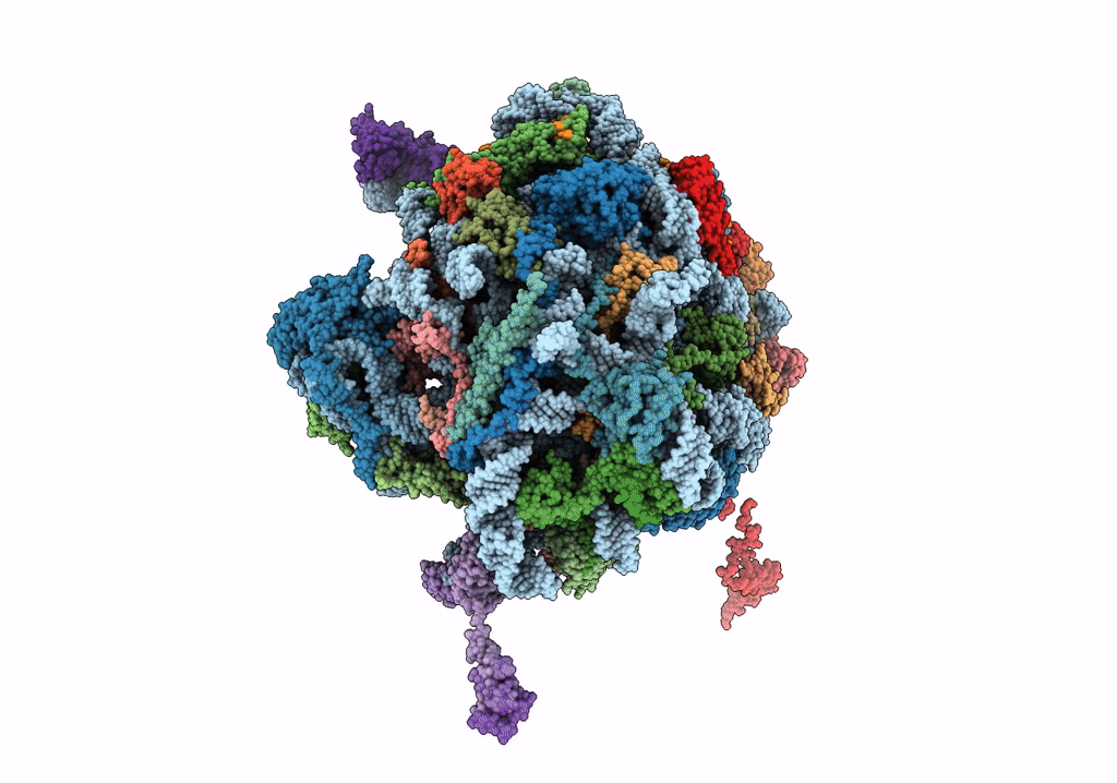 6OIG image