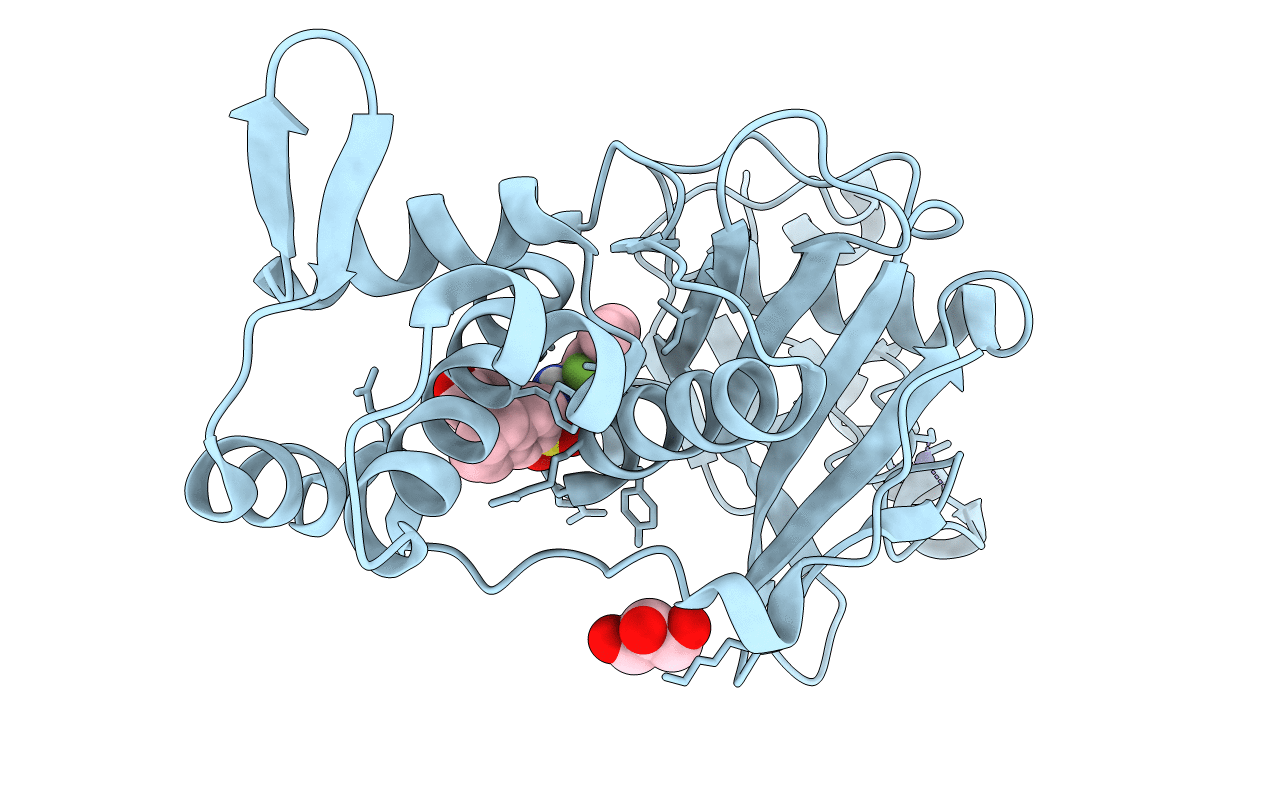 6OIP image