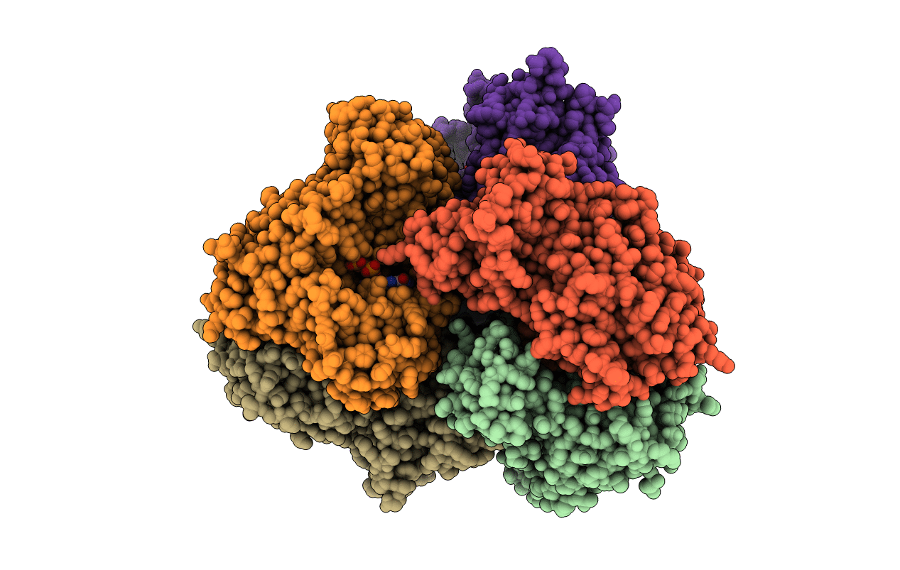6OIX image