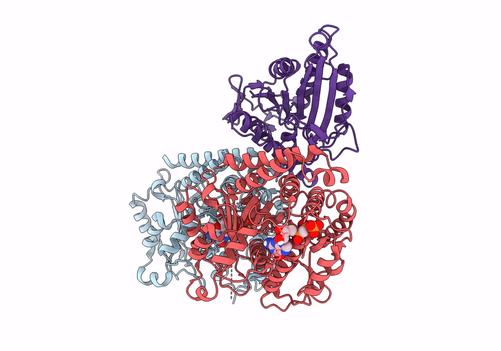 6OJQ image